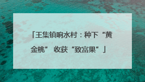 王集镇响水村：种下“黄金桃” 收获“致富果”