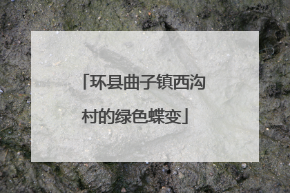 环县曲子镇西沟村的绿色蝶变