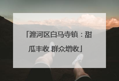 瀍河区白马寺镇：甜瓜丰收 群众增收
