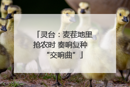 灵台：麦茬地里抢农时 奏响复种“交响曲”