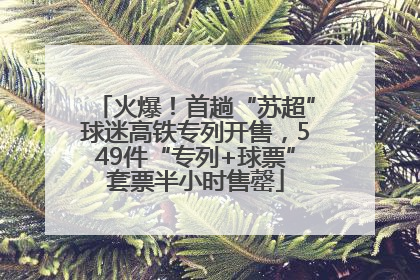 火爆！首趟“苏超”球迷高铁专列开售，549件“专列+球票”套票半小时售罄