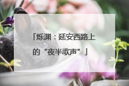 烁渊：延安西路上的“夜半歌声”