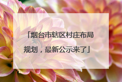 烟台市辖区村庄布局规划，最新公示来了