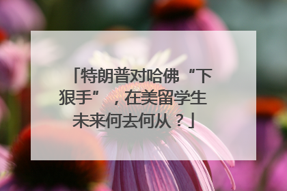 特朗普对哈佛“下狠手”，在美留学生未来何去何从？