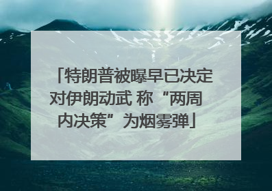 特朗普被曝早已决定对伊朗动武 称“两周内决策”为烟雾弹