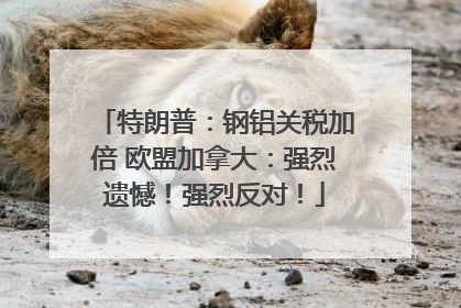 特朗普：钢铝关税加倍 欧盟加拿大：强烈遗憾！强烈反对！