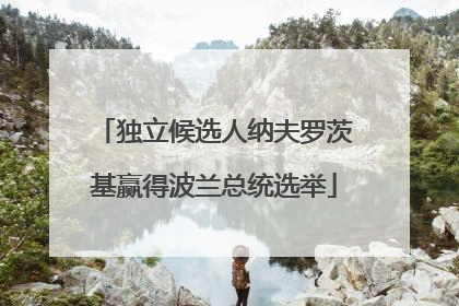独立候选人纳夫罗茨基赢得波兰总统选举