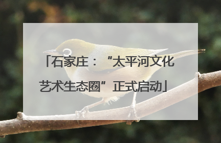 石家庄：“太平河文化艺术生态圈”正式启动