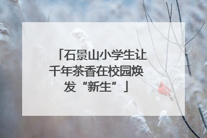 石景山小学生让千年茶香在校园焕发“新生”