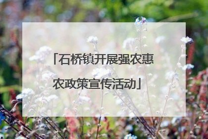 石桥镇开展强农惠农政策宣传活动