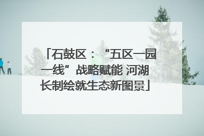 石鼓区：“五区一园一线”战略赋能 河湖长制绘就生态新图景