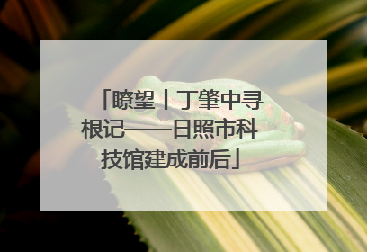 瞭望丨丁肇中寻根记——日照市科技馆建成前后