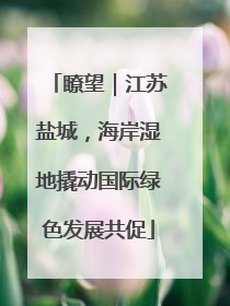 瞭望｜江苏盐城，海岸湿地撬动国际绿色发展共促