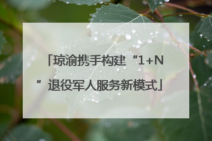 琼渝携手构建“1+N”退役军人服务新模式