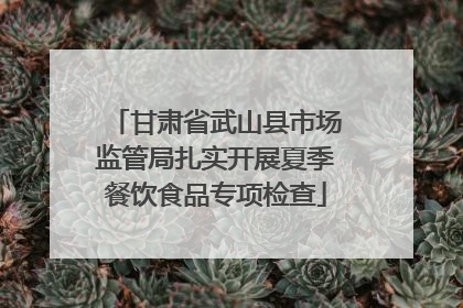 甘肃省武山县市场监管局扎实开展夏季餐饮食品专项检查