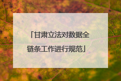 甘肃立法对数据全链条工作进行规范