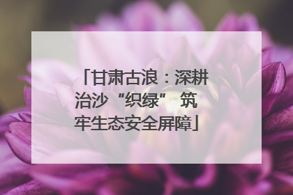 甘肃古浪：深耕治沙“织绿” 筑牢生态安全屏障