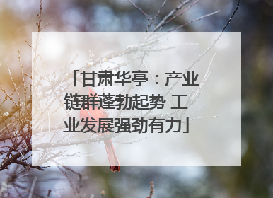 甘肃华亭：产业链群蓬勃起势 工业发展强劲有力