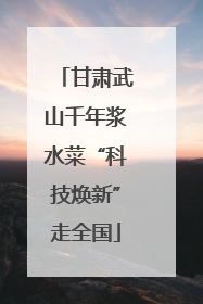 甘肃武山千年浆水菜“科技焕新”走全国