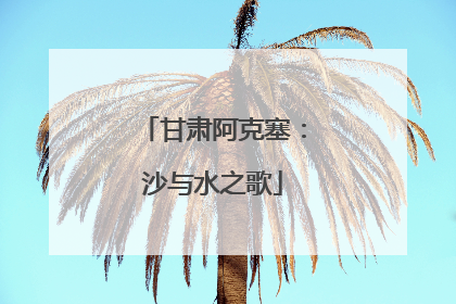 甘肃阿克塞：沙与水之歌