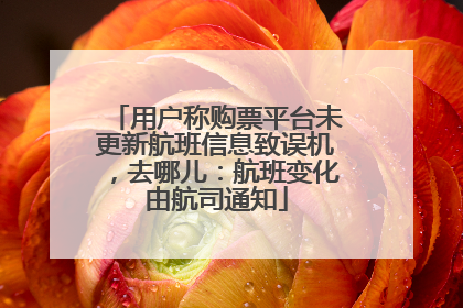 用户称购票平台未更新航班信息致误机，去哪儿：航班变化由航司通知