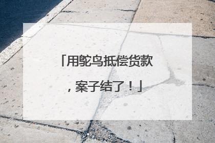 用鸵鸟抵偿货款，案子结了！