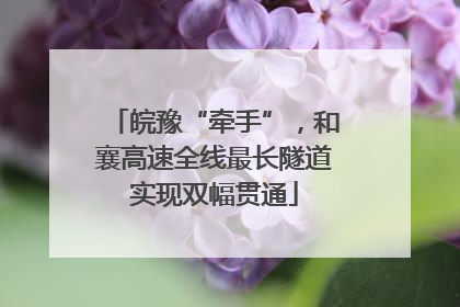 皖豫“牵手”，和襄高速全线最长隧道实现双幅贯通