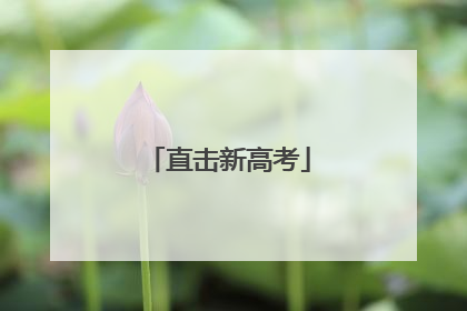 直击新高考