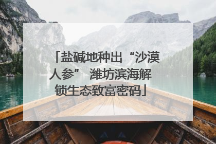 盐碱地种出“沙漠人参” 潍坊滨海解锁生态致富密码