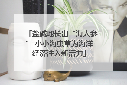 盐碱地长出“海人参” 小小海虫草为海洋经济注入新活力