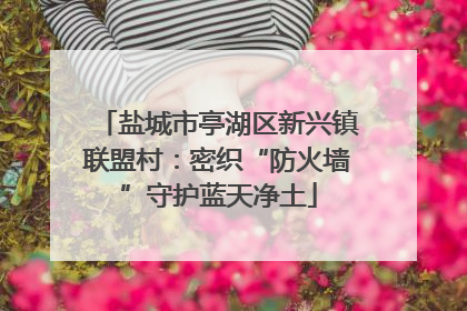 盐城市亭湖区新兴镇联盟村：密织“防火墙”守护蓝天净土