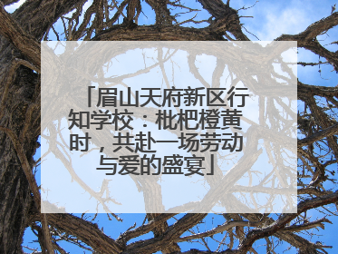 眉山天府新区行知学校：枇杷橙黄时，共赴一场劳动与爱的盛宴