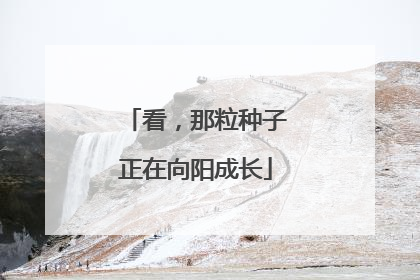 看，那粒种子正在向阳成长