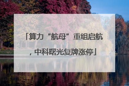 算力“航母”重组启航，中科曙光复牌涨停