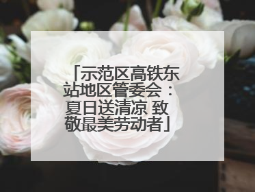 示范区高铁东站地区管委会：夏日送清凉 致敬最美劳动者