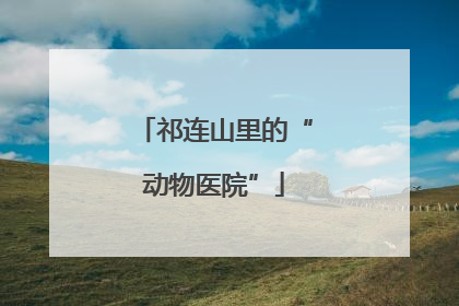 祁连山里的“动物医院”