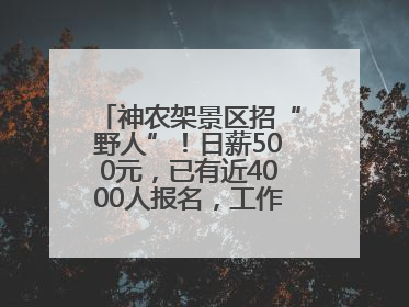 神农架景区招“野人”！日薪500元，已有近4000人报名，工作职责包括“接受游客投喂”