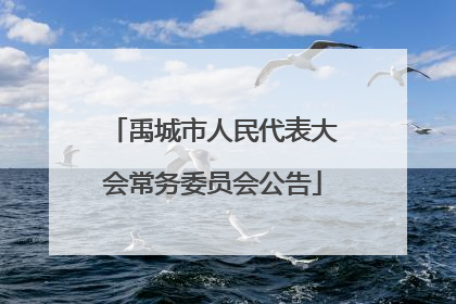 禹城市人民代表大会常务委员会公告