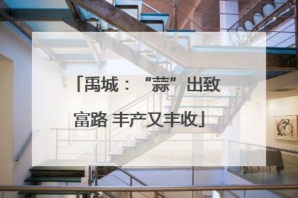 禹城：“蒜”出致富路 丰产又丰收