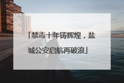 禁毒十年铸辉煌，盐城公安启航再破浪