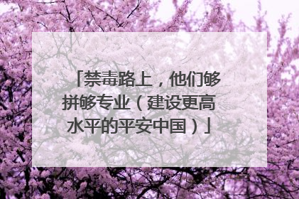 禁毒路上，他们够拼够专业（建设更高水平的平安中国）
