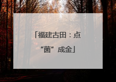 福建古田：点“菌”成金