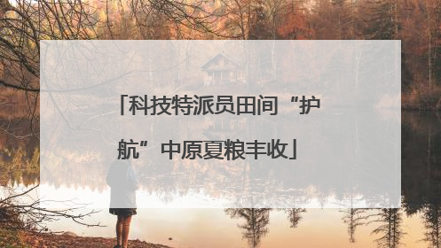科技特派员田间“护航”中原夏粮丰收