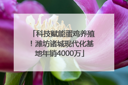 科技赋能蛋鸡养殖！潍坊诸城现代化基地年销4000万