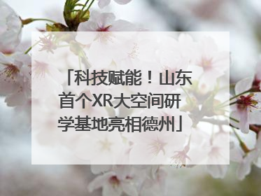 科技赋能！山东首个XR大空间研学基地亮相德州