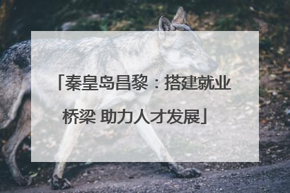 秦皇岛昌黎：搭建就业桥梁 助力人才发展