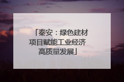 秦安：绿色建材项目赋能工业经济高质量发展