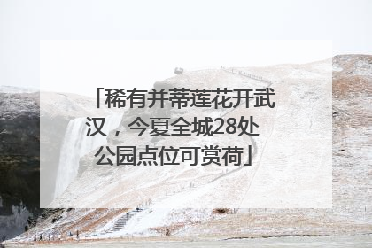 稀有并蒂莲花开武汉，今夏全城28处公园点位可赏荷