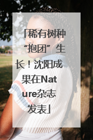 稀有树种“抱团”生长！沈阳成果在Nature杂志发表