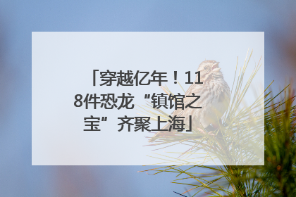 穿越亿年！118件恐龙“镇馆之宝”齐聚上海